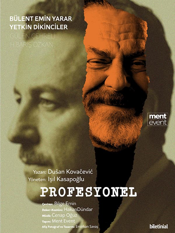 Profesyonel