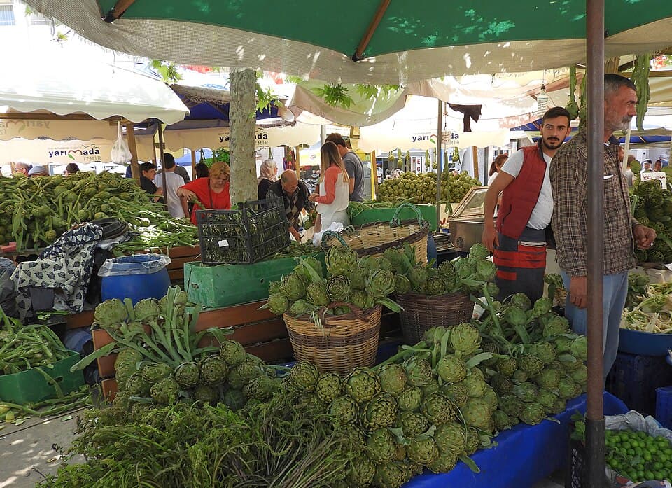 Urla Sakız Artichoke