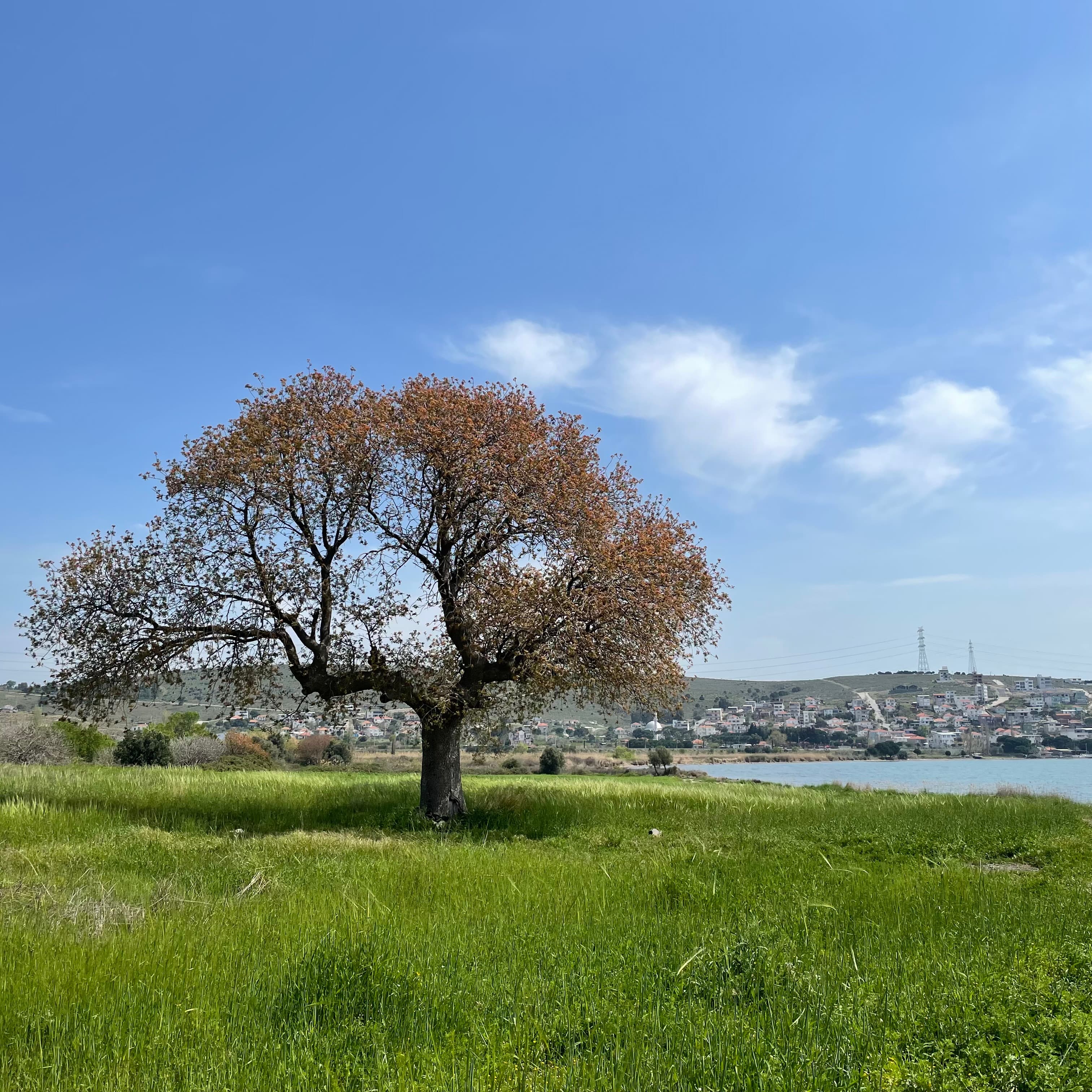 Antike Stadt Gryneion