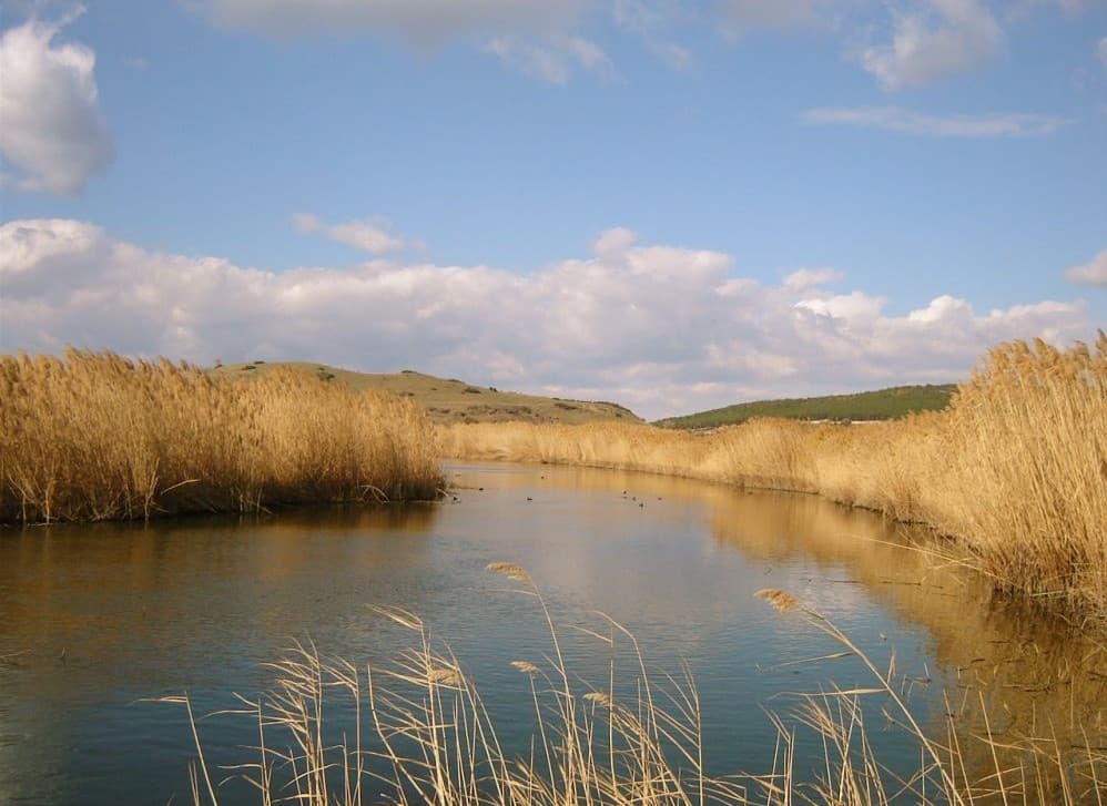 Myrina Antik Kenti (Aliağa)