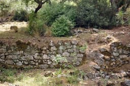 Ancient City of Kolophon (Colophon)