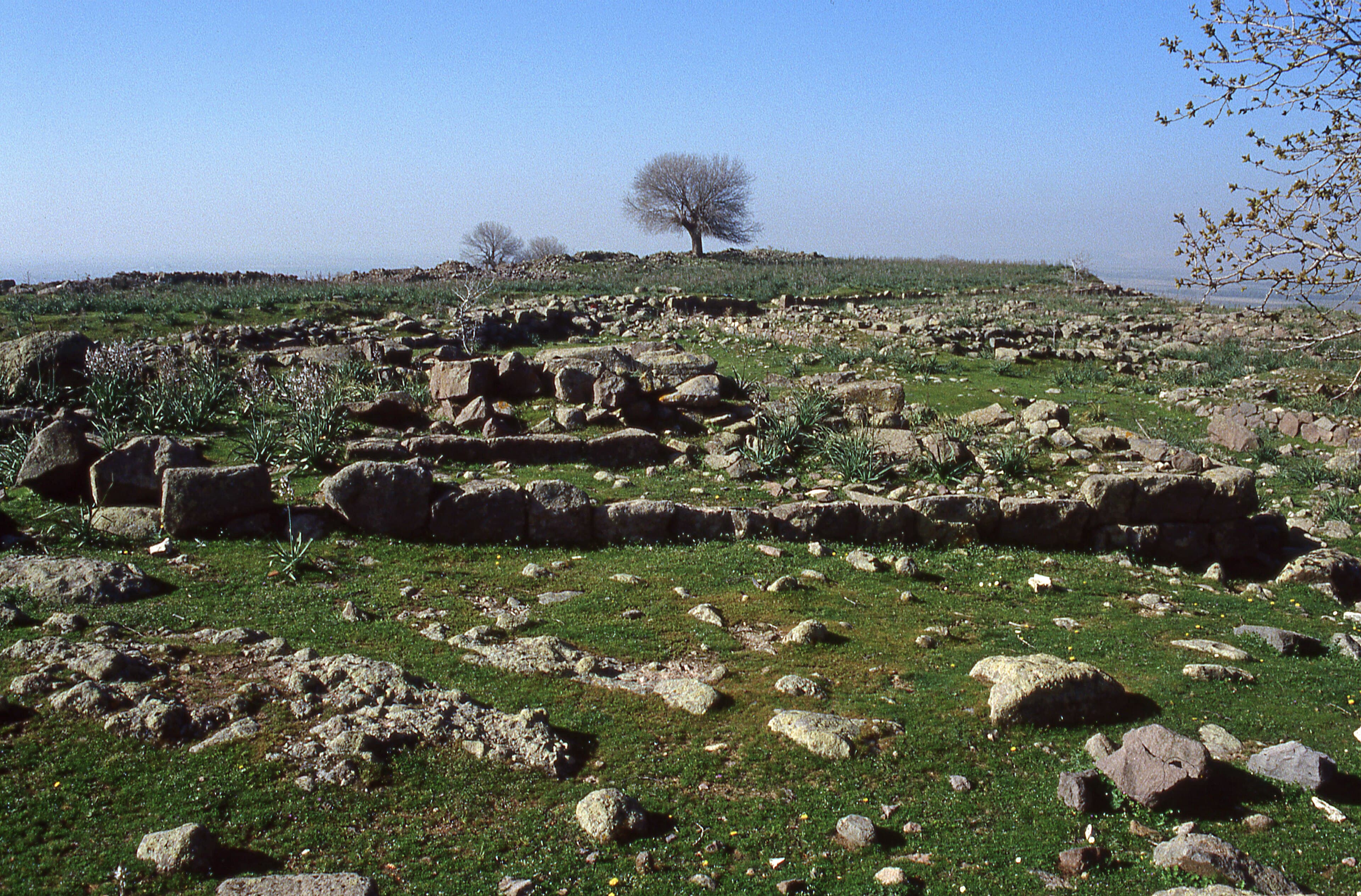 Cité antique de Larissa (Buruncuktepe)