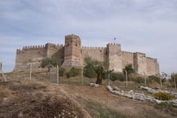Selçuk Castle (Ayasuluk Castle)
