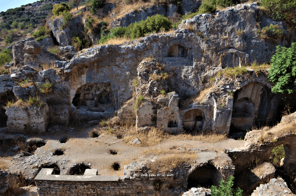 Yaşam
